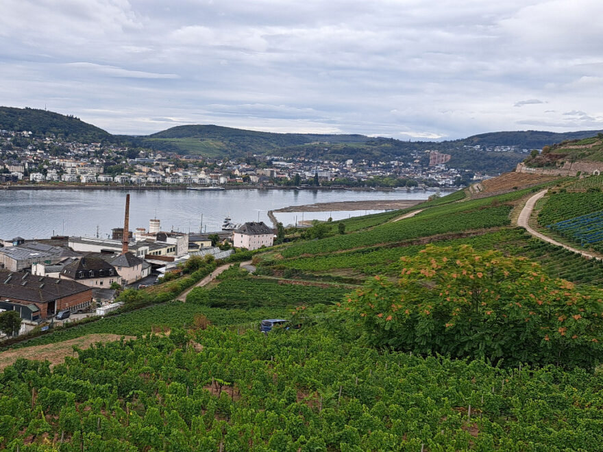 Vereinsfahrt VfA Neunkirchen nach Rüdesheim am Rhein